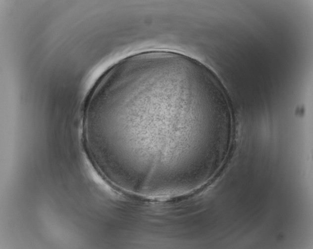 X0000113591511200910021704