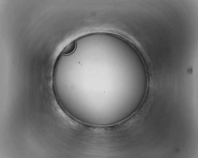 X0000113591512200910021704