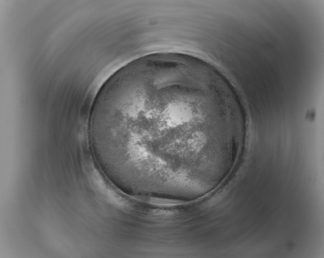 X0000113591513200910021704