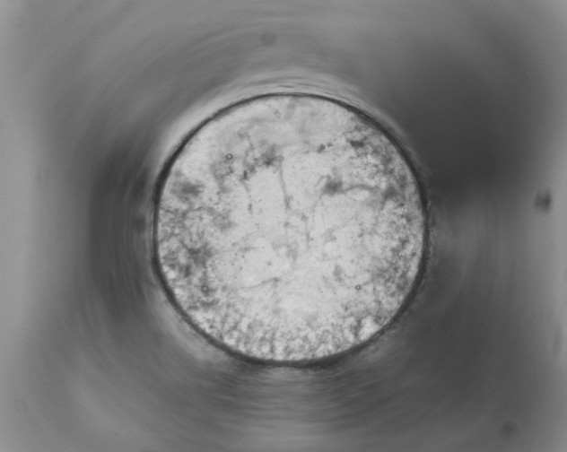 X0000113591514200910021704