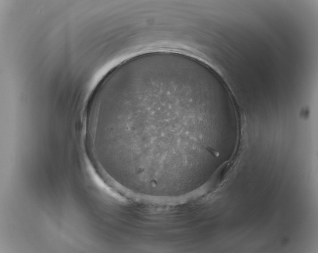 X0000113591515200910021704