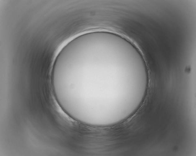 X0000113591516200910021704