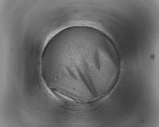 X0000113591517200910021704