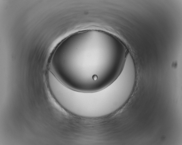 X0000113591518200910021704