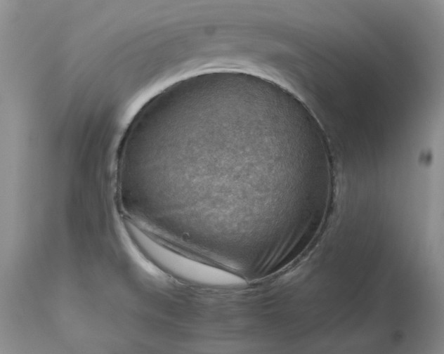 X0000113591519200910021704