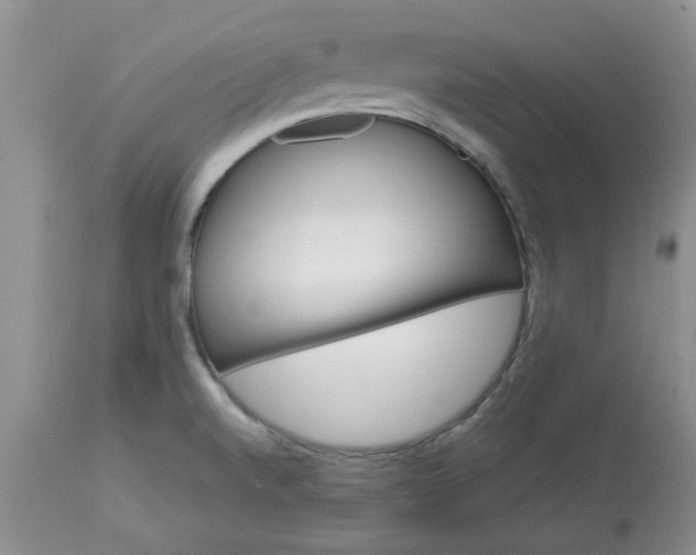 X0000113591520200910021704