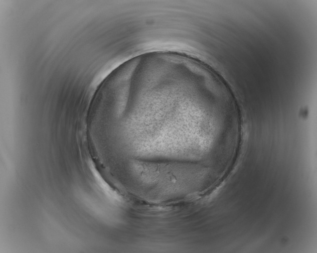 X0000113591521200910021704