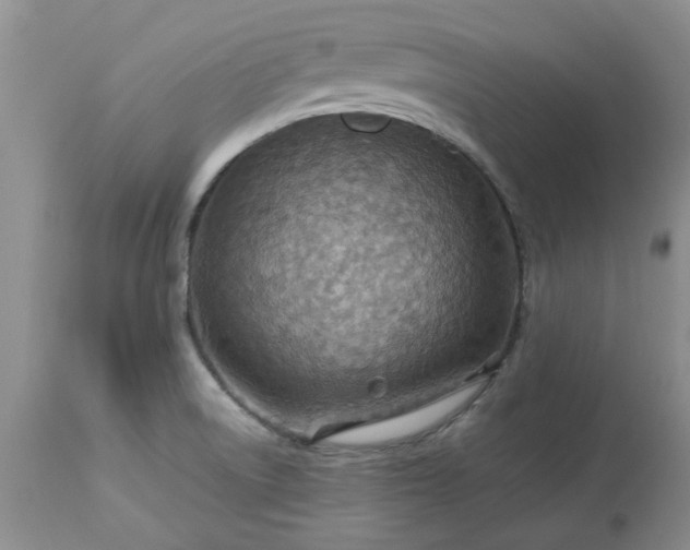 X0000113591522200910021704