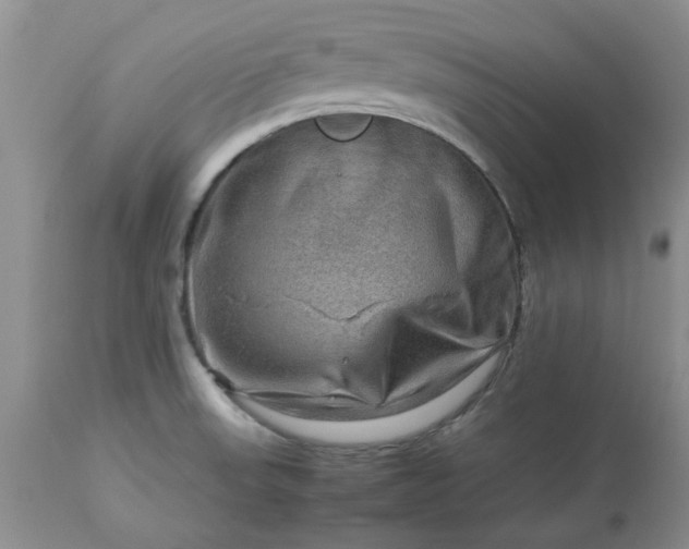 X0000113591523200910021705