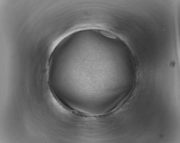 X0000113591524200910021705