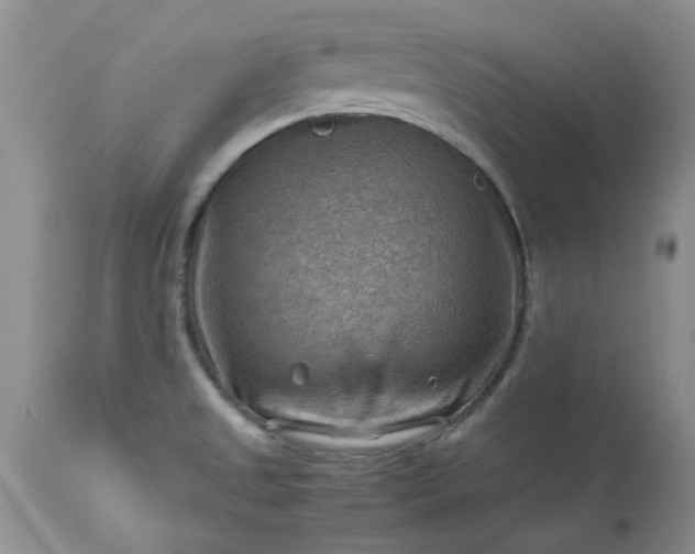 X0000113591525200910021705