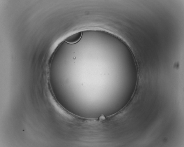 X0000113591526200910021705