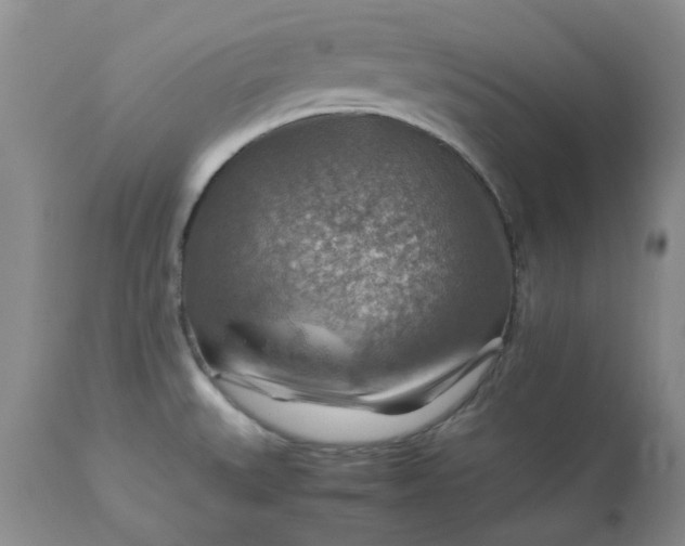 X0000113591527200910021705