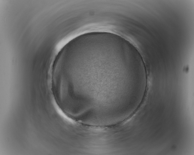 X0000113591528200910021705