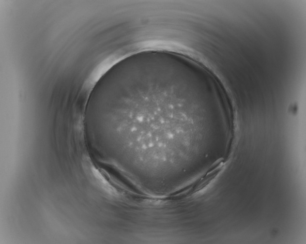 X0000113591529200910021705