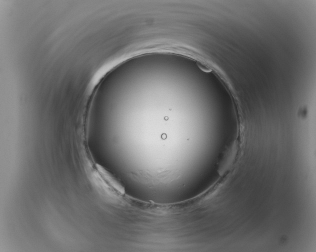 X0000113591530200910021705