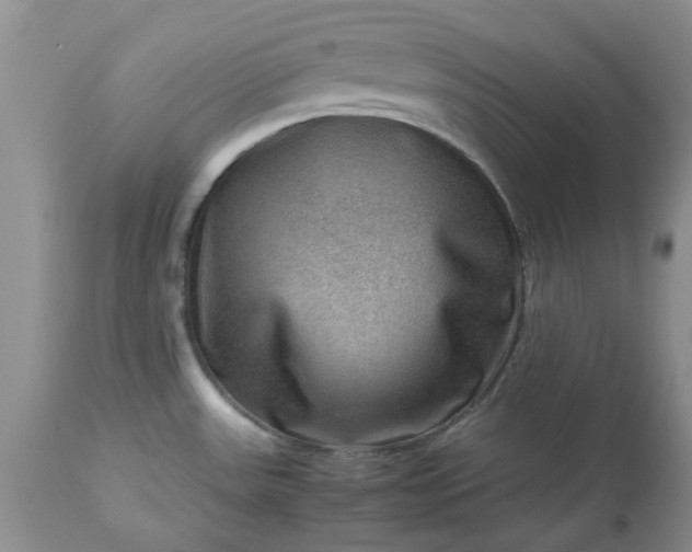 X0000113591531200910021705