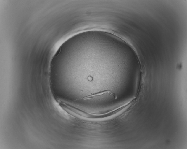 X0000113591532200910021705