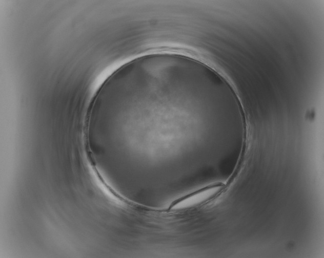 X0000113591533200910021705