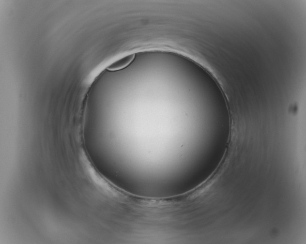 X0000113591534200910021705