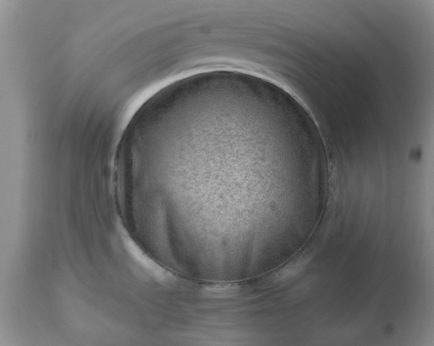 X0000113591535200910021705