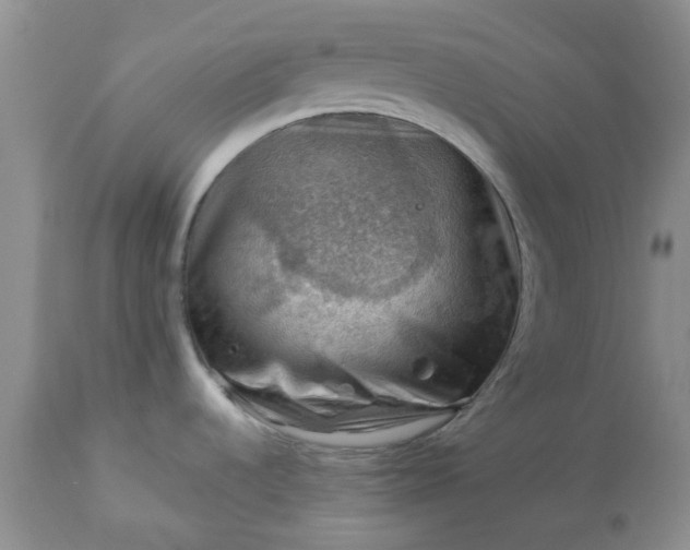 X0000113591536200910021705