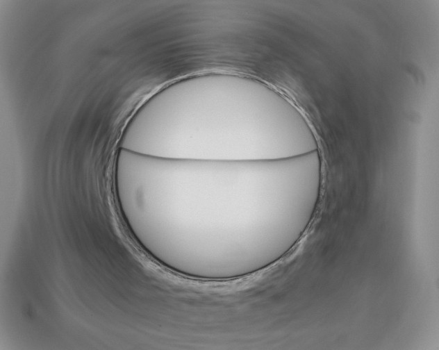 X0000113590001200910091509