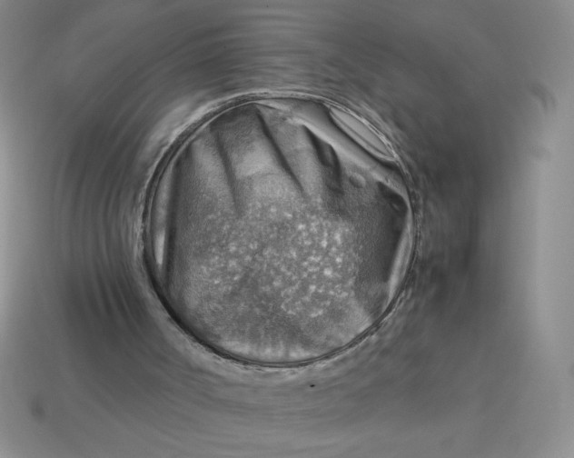 X0000113590002200910091509