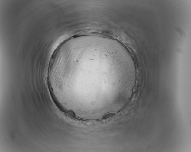 X0000113590003200910091509