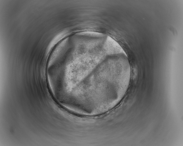 X0000113590004200910091509