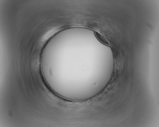 X0000113590005200910091509