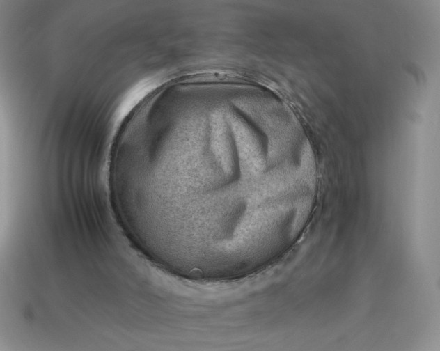 X0000113590006200910091509