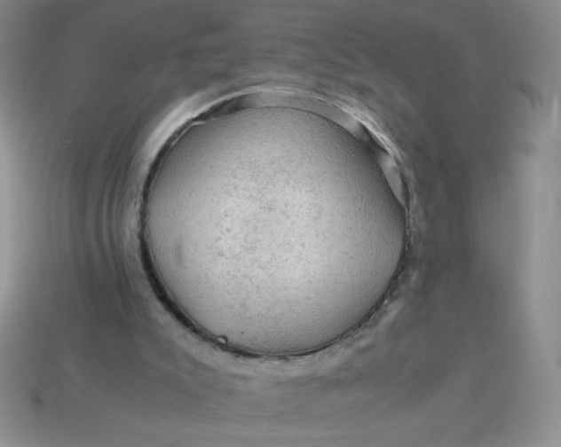 X0000113590007200910091509