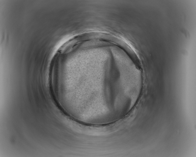 X0000113590008200910091509
