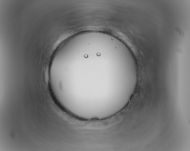 X0000113590011200910091509