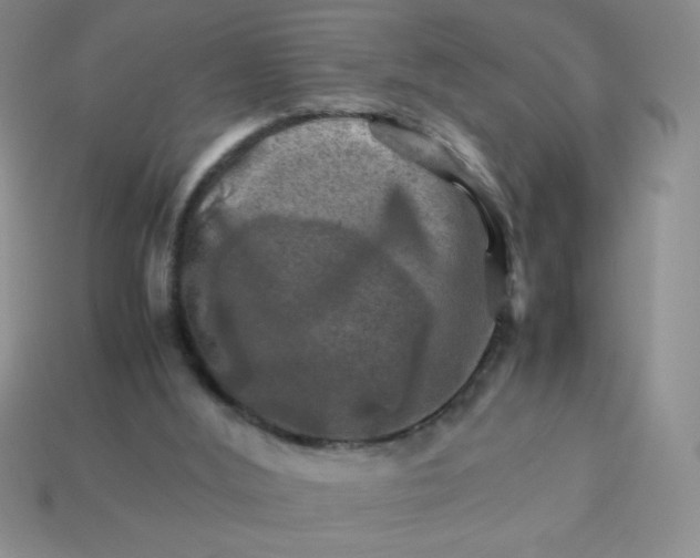 X0000113590012200910091509