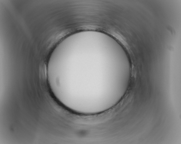 X0000113590013200910091509