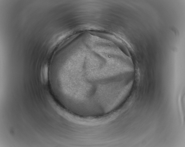 X0000113590014200910091509
