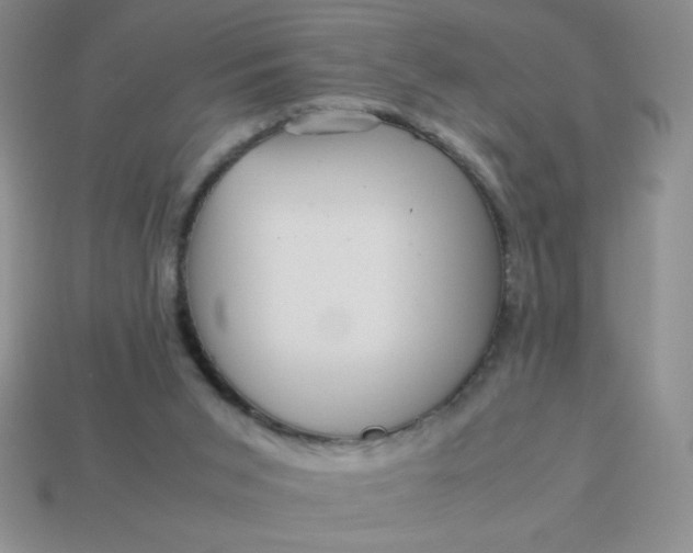 X0000113590015200910091509