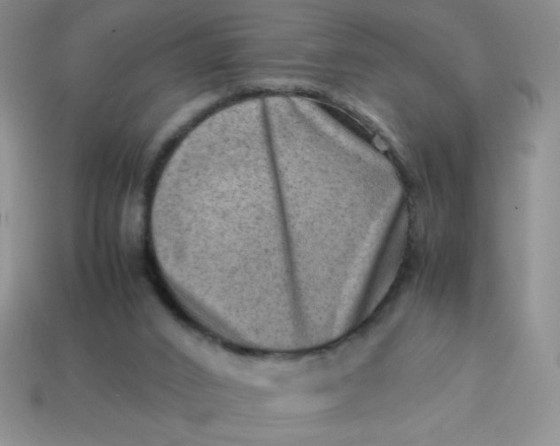 X0000113590016200910091509