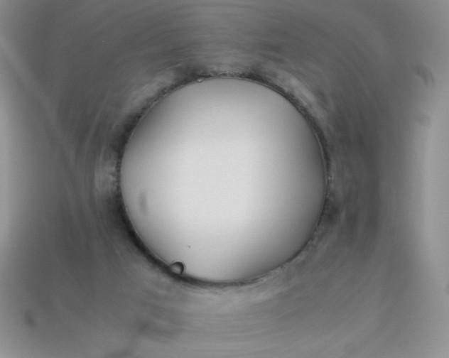 X0000113590017200910091509