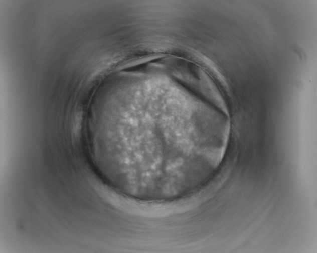 X0000113590018200910091509