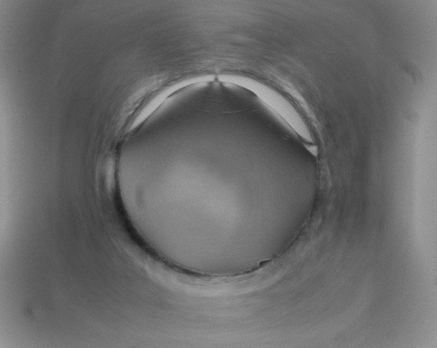 X0000113590019200910091509