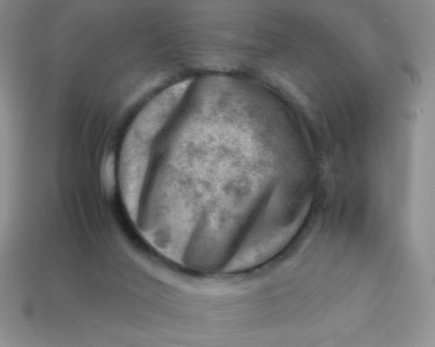 X0000113590020200910091509