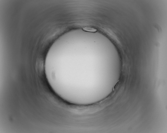 X0000113590021200910091509