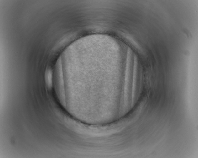 X0000113590022200910091509