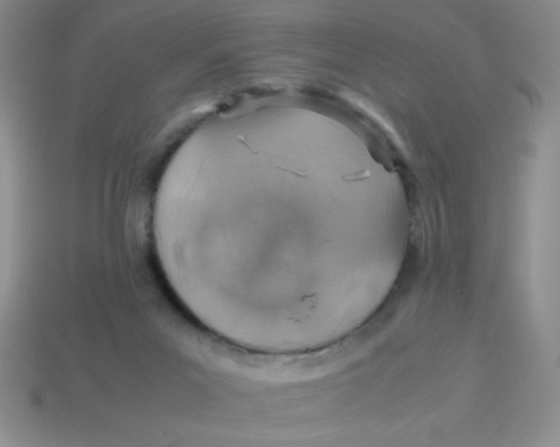 X0000113590023200910091509