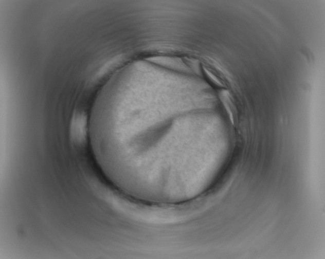 X0000113590024200910091509