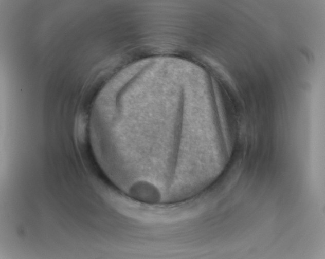 X0000113590026200910091509