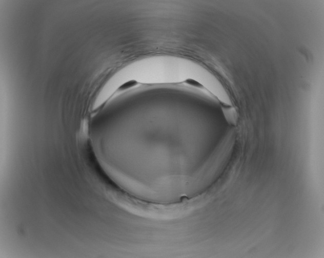 X0000113590027200910091509